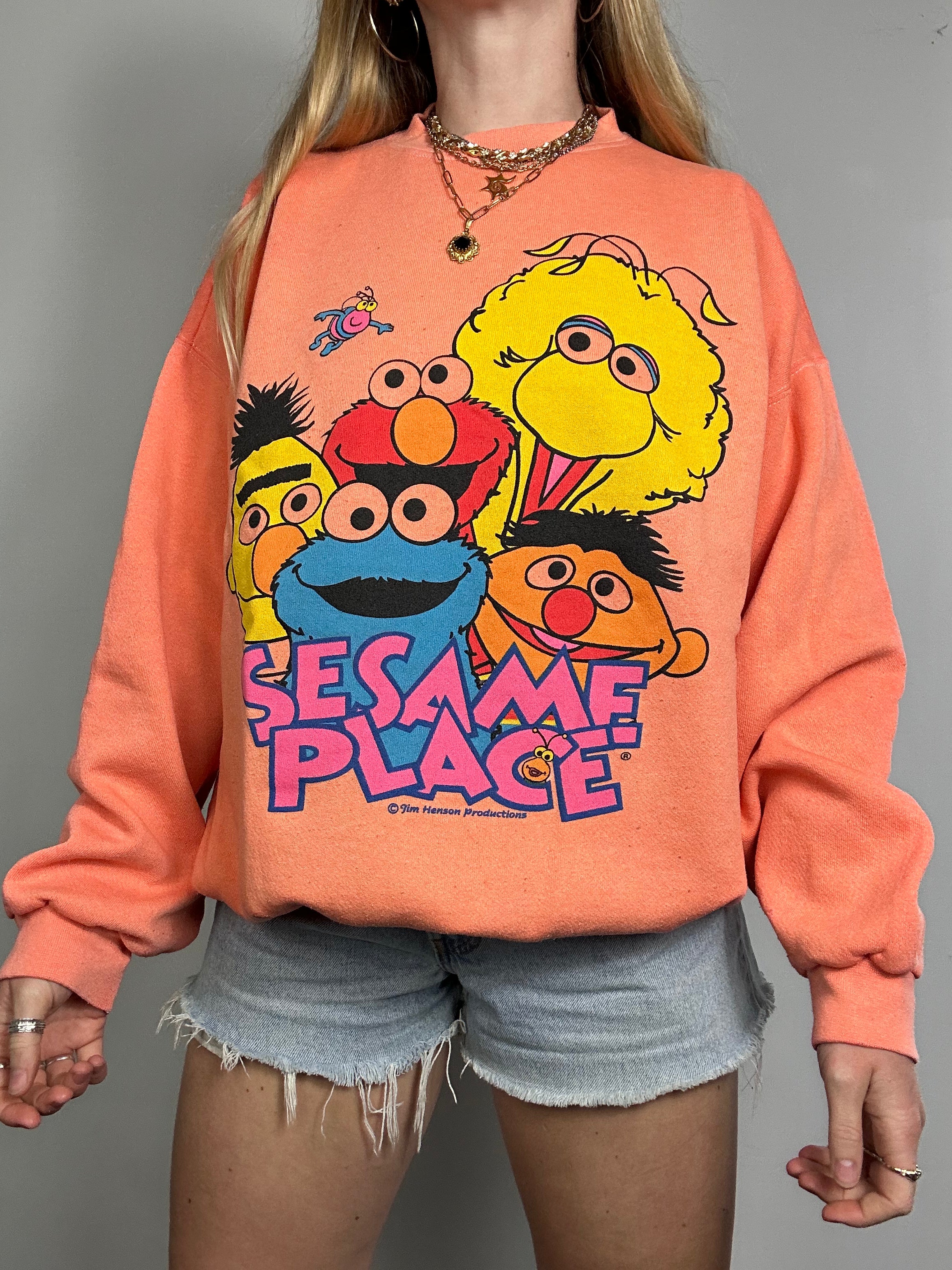 Sesame Street 90'S Sweater Size M/L